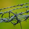 Разновидности колючей проволоки
